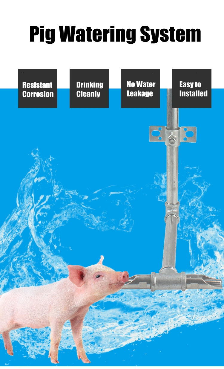 Pig drinking system (1)