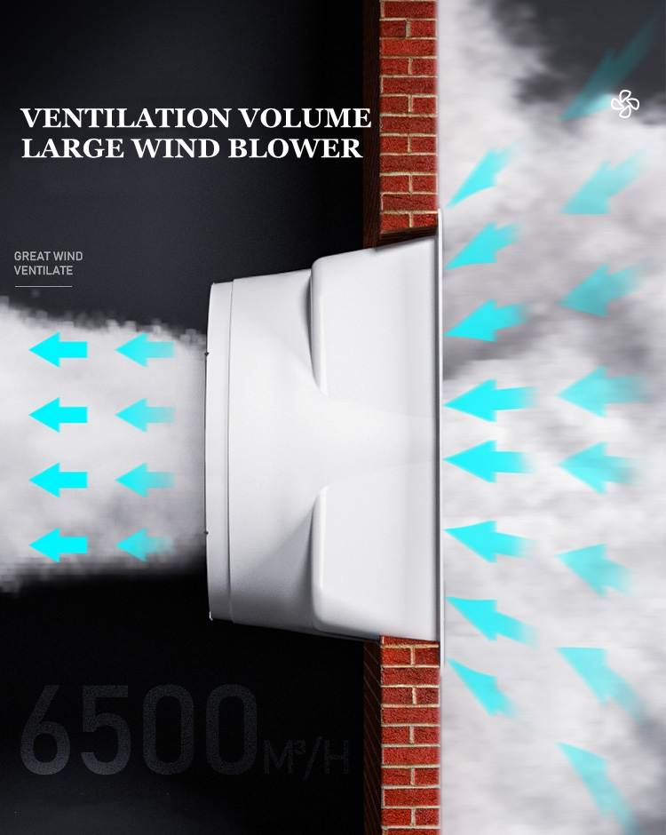 SMC ventilation fan (1)
