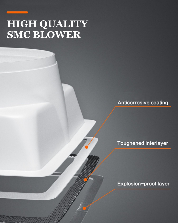 SMC ventilyasiya fanı (2)