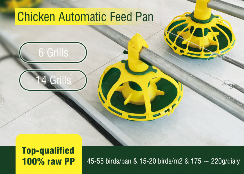 automatic broiler feeding pan (1)